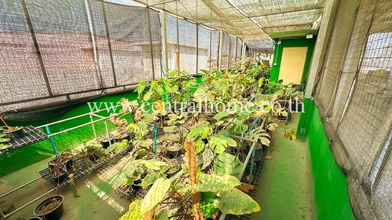 ☎️โทร 093-969-5663 Line : @central_home