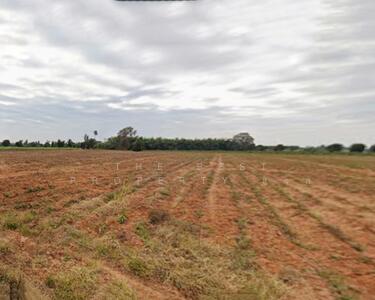 ขาย - ที่ดินโชคชัย นครราชสีมา, นครราชสีมา