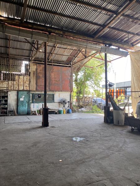 ขาย - โรงงาน อ.หนองเสือ จ.ปทุมธานี, ปทุมธานี