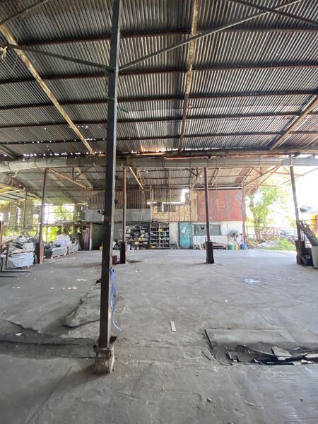 ขาย - โรงงาน อ.หนองเสือ จ.ปทุมธานี, ปทุมธานี