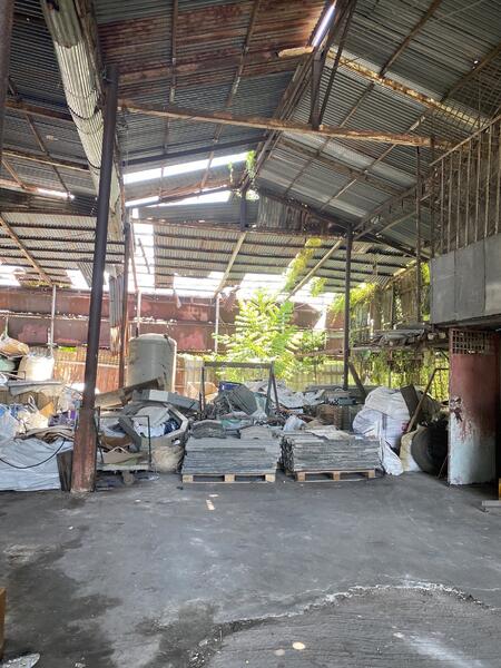 ขาย - โรงงาน อ.หนองเสือ จ.ปทุมธานี, ปทุมธานี