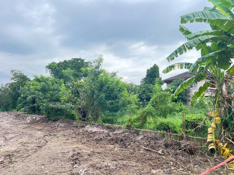 For Sale - ที่ดินบางกร่าง นนทบุรี, Nonthaburi