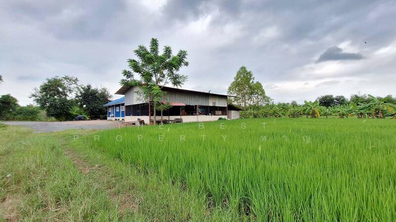 For Sale - บ้านเดี่ยวพร้อมที่ดินปากท่อ ราชบุรี, Ratchaburi