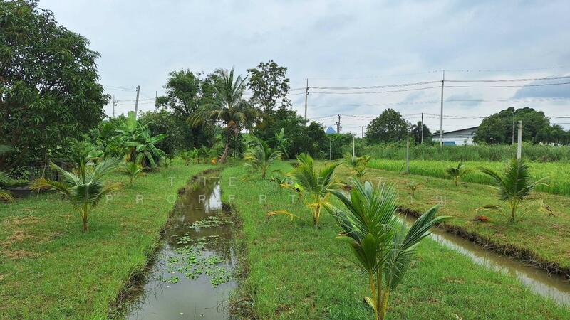 For Sale - บ้านเดี่ยวพร้อมที่ดินปากท่อ ราชบุรี, Ratchaburi