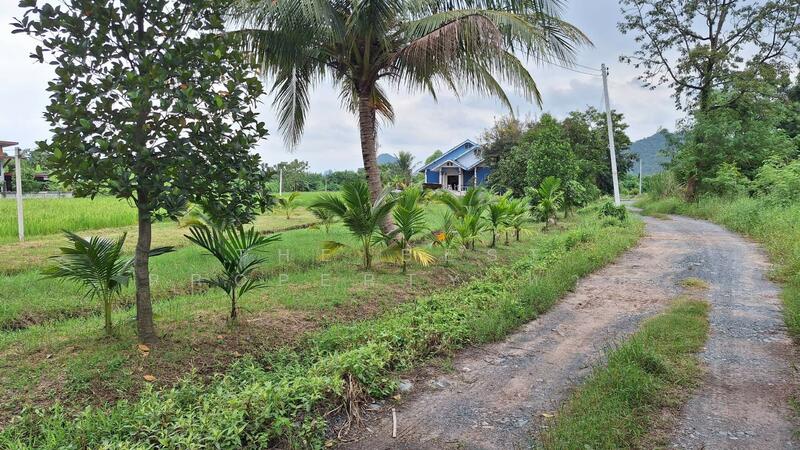 For Sale - บ้านเดี่ยวพร้อมที่ดินปากท่อ ราชบุรี, Ratchaburi