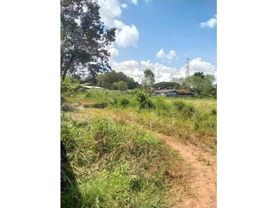 ขาย - ที่ดินเปล่า พื้นที่ 7-1-6.6 ตารางวา ตำบล บ้านผึ้ง อำเภอเมืองนครพนม นครพนม, นครพนม