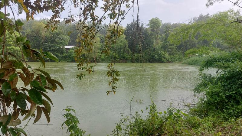 ขาย - ขายที่ดินขนาดใหญ่ 17 ไร่ 3 งาน 66.8 ตรว.พร้อมฟาร์มสุกร บ่อปลา หนองคาย, หนองคาย