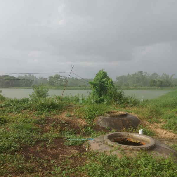 ขาย - ขายที่ดินขนาดใหญ่ 17 ไร่ 3 งาน 66.8 ตรว.พร้อมฟาร์มสุกร บ่อปลา หนองคาย, หนองคาย