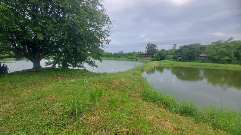 ขาย - ขายที่ดินขนาดใหญ่ 17 ไร่ 3 งาน 66.8 ตรว.พร้อมฟาร์มสุกร บ่อปลา หนองคาย, หนองคาย