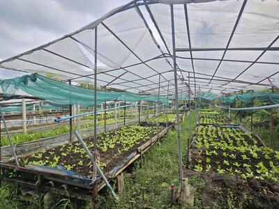 ขาย - พุทธมณฑล สาย 5, นครปฐม
