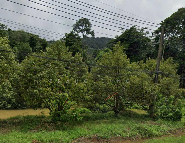 ขาย - แปลงสวย อ.เกาะช้าง, ตราด