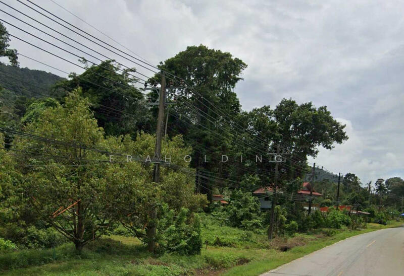 ขาย - แปลงสวย อ.เกาะช้าง, ตราด