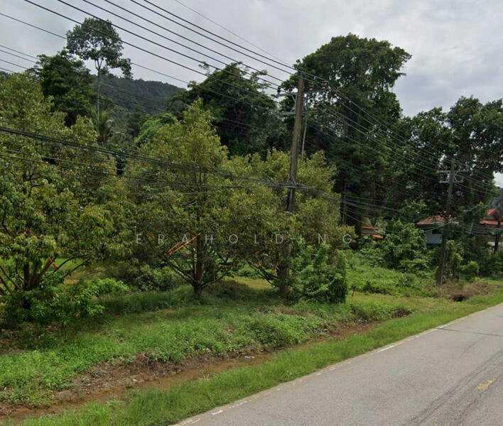 ขาย - แปลงสวย อ.เกาะช้าง, ตราด