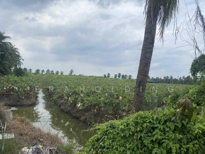 ขาย - สวนสวย, นครปฐม