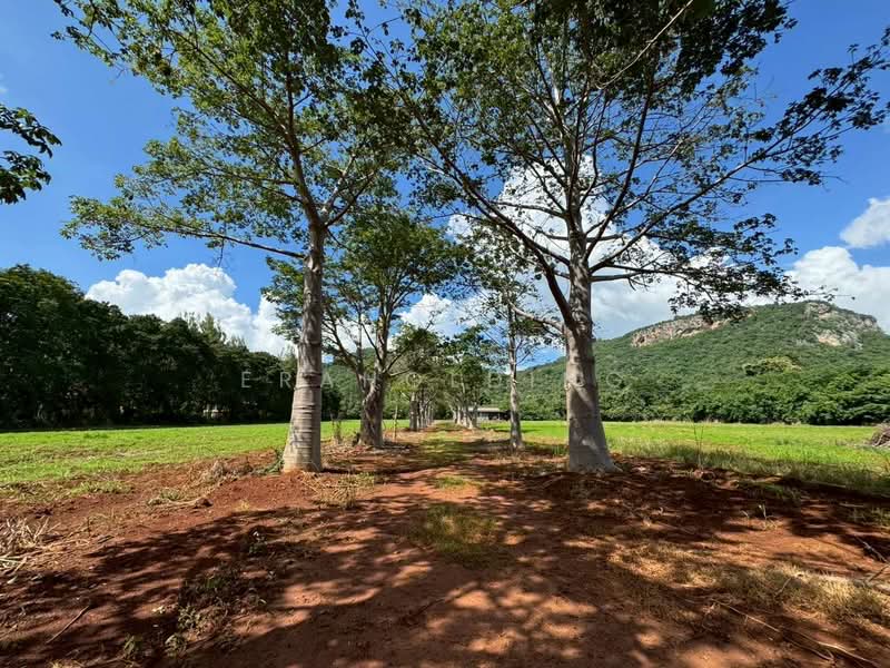 เขาใหญ่ ถ.ธนะรัชต์, Nakhon Ratchasima, -, Mu Si, Pak Chong, Nakhon Ratchasima, , 51,984 sqm, Land For Sale, by eraholding, 60241336 - DDproperty.com