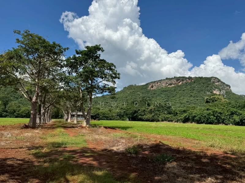 เขาใหญ่ ถ.ธนะรัชต์, Nakhon Ratchasima, -, Mu Si, Pak Chong, Nakhon Ratchasima, , 51,984 sqm, Land For Sale, by eraholding, 60241336 - DDproperty.com