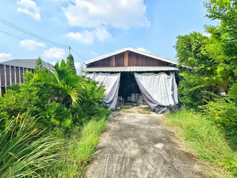 ขาย - บ้านเดี่ยวสามพราน นครปฐม, นครปฐม