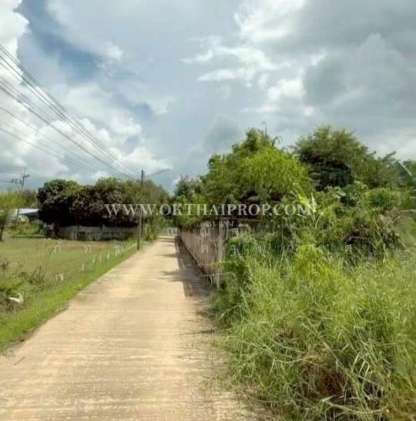 ขาย - ถนนพิษณุโลก-หล่มสัก ต.วังทอง อ.วังทอง จ.พิษณุโลก, พิษณุโลก