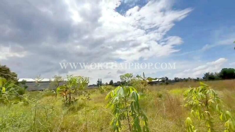 ขาย - ถนนพิษณุโลก-หล่มสัก ต.วังทอง อ.วังทอง จ.พิษณุโลก, พิษณุโลก