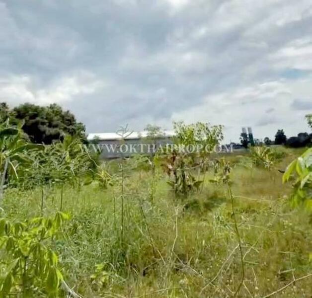 ขาย - ถนนพิษณุโลก-หล่มสัก ต.วังทอง อ.วังทอง จ.พิษณุโลก, พิษณุโลก