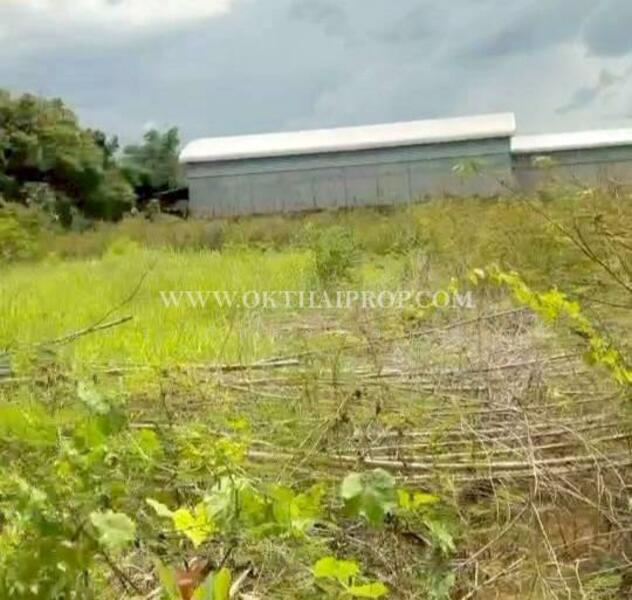 ขาย - ถนนพิษณุโลก-หล่มสัก ต.วังทอง อ.วังทอง จ.พิษณุโลก, พิษณุโลก