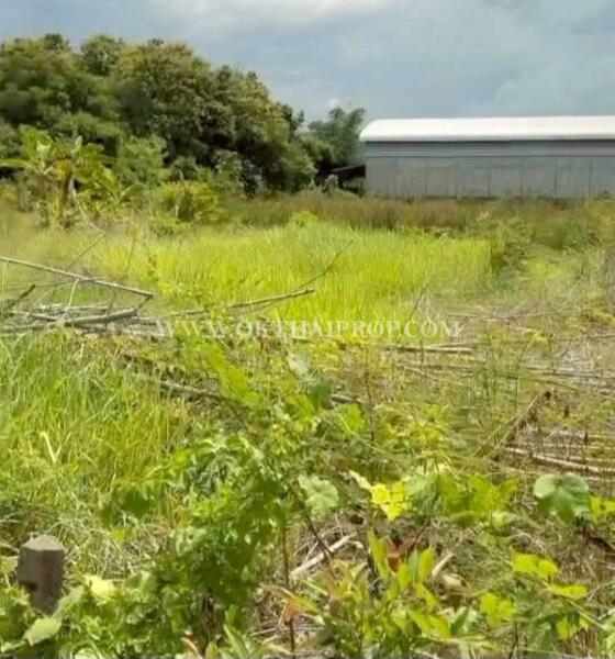 ขาย - ถนนพิษณุโลก-หล่มสัก ต.วังทอง อ.วังทอง จ.พิษณุโลก, พิษณุโลก