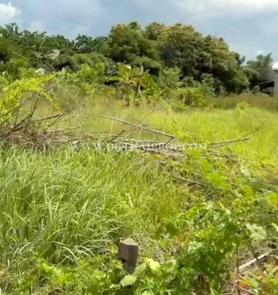 ขาย - ถนนพิษณุโลก-หล่มสัก ต.วังทอง อ.วังทอง จ.พิษณุโลก, พิษณุโลก