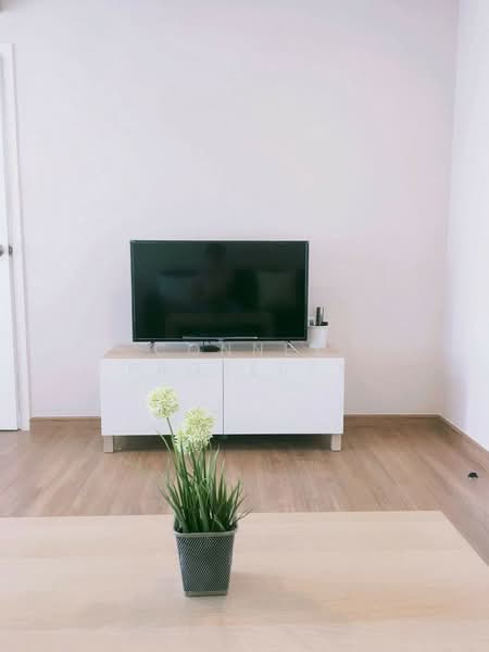 The Tree Rio Bang-Aor Station, Bangkok, 315 Charan Sanitwong Rd, Bang O, Bang Phlat, Bangkok, 1 Bedroom, 28 sqm, Condo For Sale, by Connex Property, 60241725 - DDproperty.com