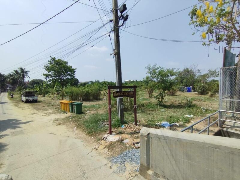 ขาย - ขาย ที่ดินเปล่า 1แปลง ใกล้แม่น้ำเจ้าพระยา, นนทบุรี