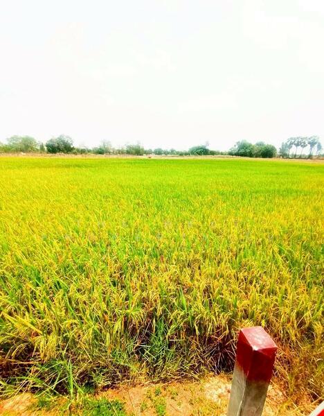 For Sale - บ้านเดี่ยวพร้อมที่ดินเลาขวัญ กาญจนบุรี, Kanchanaburi