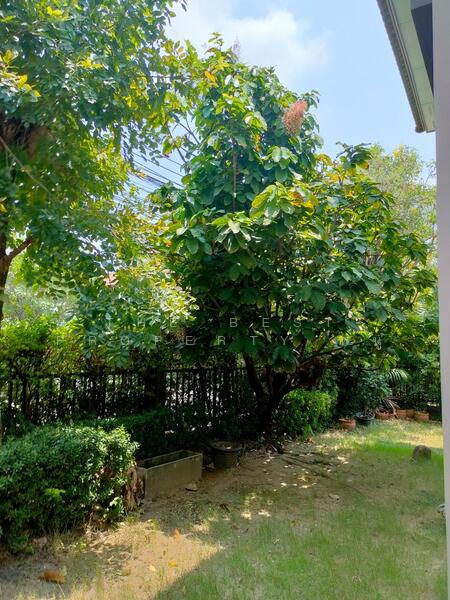 ขาย - Casa City Bangkhuntien - Rama 2 : คาซ่า ซิตี้ บางขุนเทียน - พระราม 2, กรุงเทพ