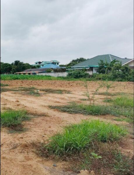 ขาย - ที่ดินกำแพงแสน นครปฐม, นครปฐม