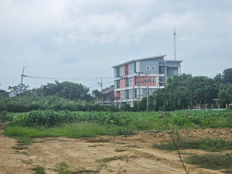 For Sale - ที่ดินกำแพงแสน นครปฐม, Nakhon Pathom