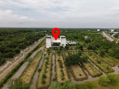 ขาย - For Sale: Land, Buildings, and Swiftlet House Business in Phetchaburi Province Generates, เพชรบุรี
