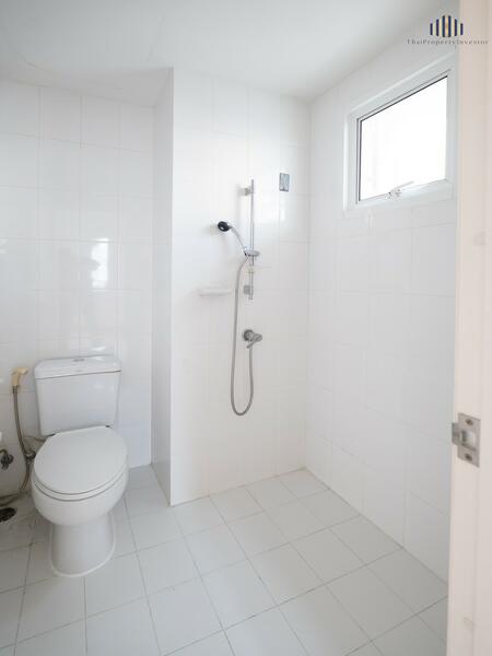 ขาย - Ivy Chinatown : ไอวี่ ไชน่าทาวน์, กรุงเทพ