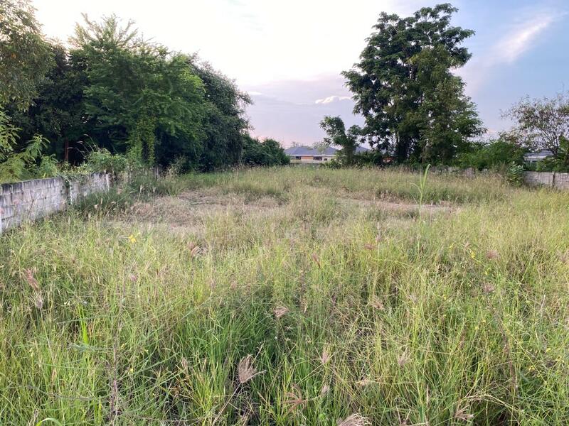 ขาย - ที่ดินพระนอน นครสวรรค์, นครสวรรค์