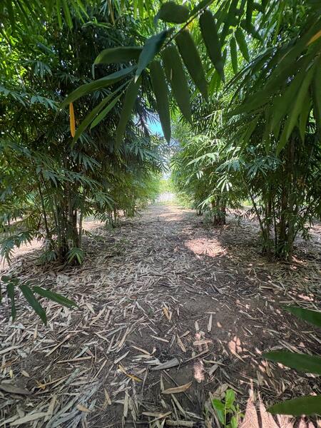 For Sale - ที่ดินบ้านโป่ง ราชบุรี, Ratchaburi