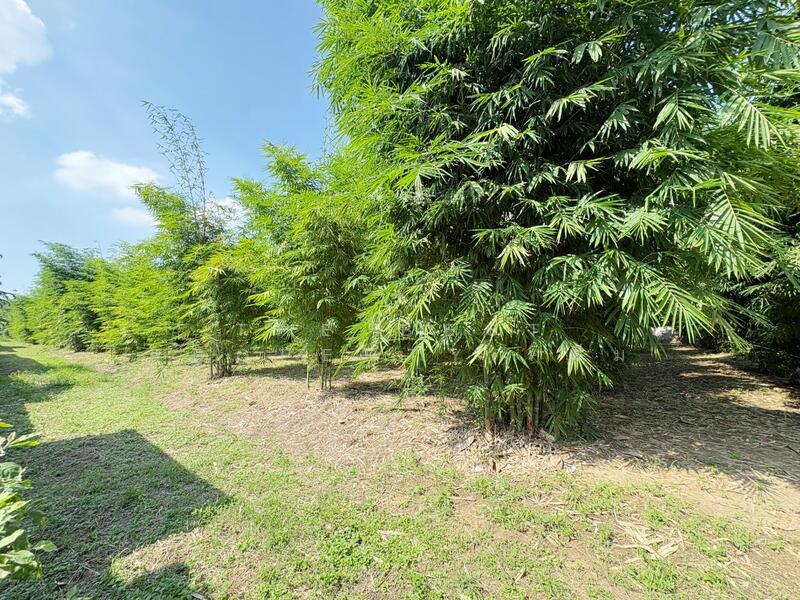 For Sale - ที่ดินบ้านโป่ง ราชบุรี, Ratchaburi