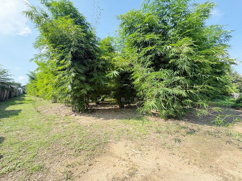 For Sale - ที่ดินบ้านโป่ง ราชบุรี, Ratchaburi