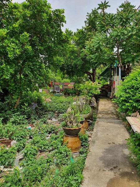 For Sale - ขายที่ดินเปล่า หลังสำนักงานเทศบาลตำบลแหลมฟ้าผ่า พระสมุทรเจดีย์ สมุทรปราการ ขนาด 1 ไร่ 2 งาน 37.1 ตรว, Samut Prakan