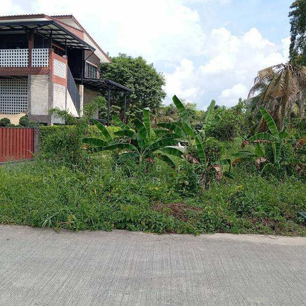 ขาย - ที่ดินบ้านค่าย ระยอง, ระยอง