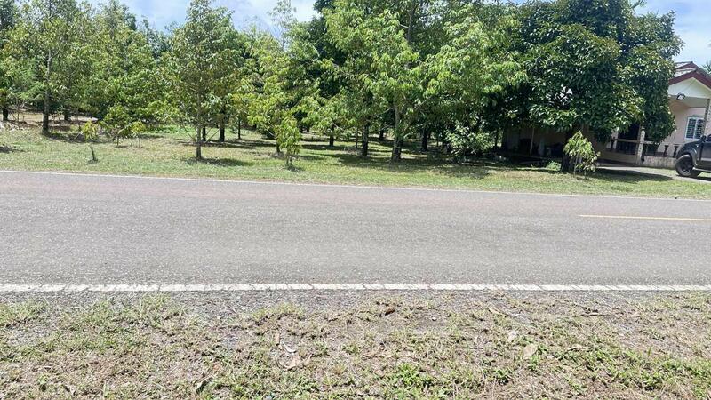 For Sale - ที่ดินท่าใหม่ จันทบุรี, Chanthaburi