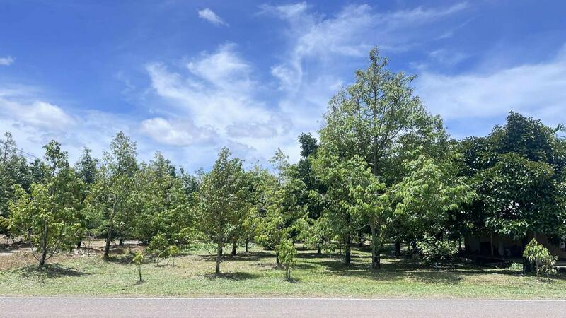 For Sale - ที่ดินท่าใหม่ จันทบุรี, Chanthaburi