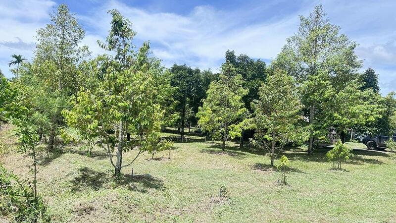 For Sale - ที่ดินท่าใหม่ จันทบุรี, Chanthaburi