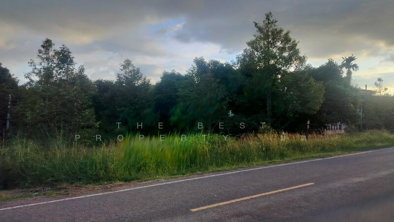 For Sale - ที่ดินท่าใหม่ จันทบุรี, Chanthaburi