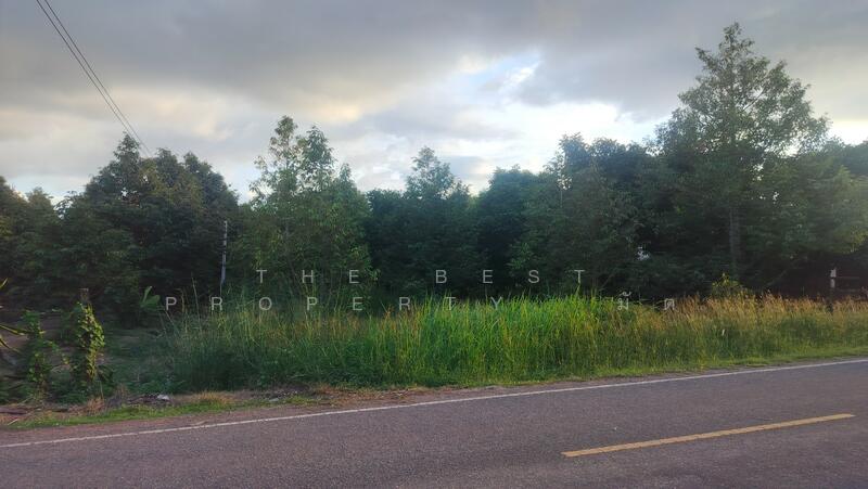 For Sale - ที่ดินท่าใหม่ จันทบุรี, Chanthaburi