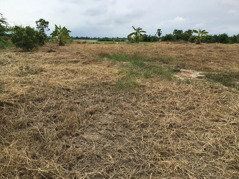 ขาย - ที่ดินบางปลาม้า สุพรรณบุรี, สุพรรณบุรี