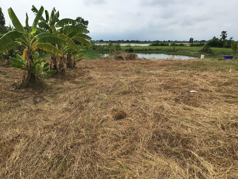 ขาย - ที่ดินบางปลาม้า สุพรรณบุรี, สุพรรณบุรี