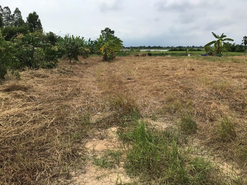 ขาย - ที่ดินบางปลาม้า สุพรรณบุรี, สุพรรณบุรี