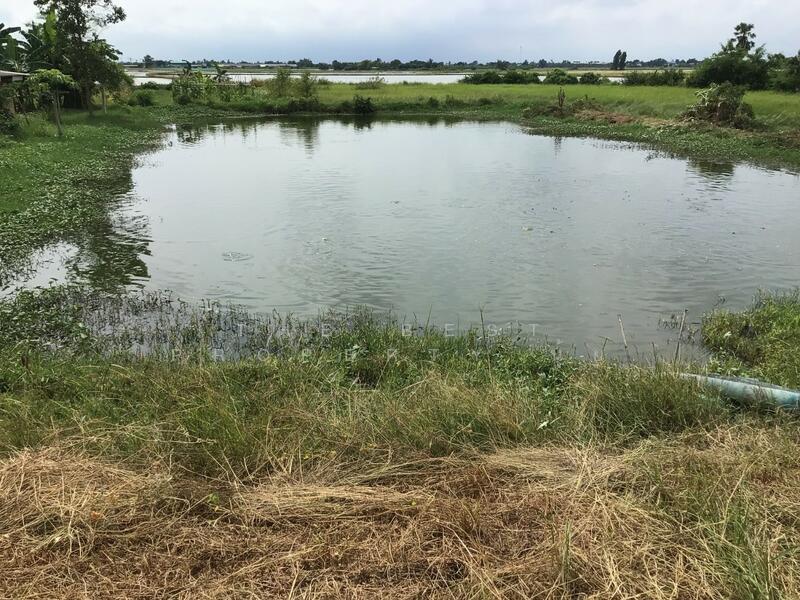 ขาย - ที่ดินบางปลาม้า สุพรรณบุรี, สุพรรณบุรี